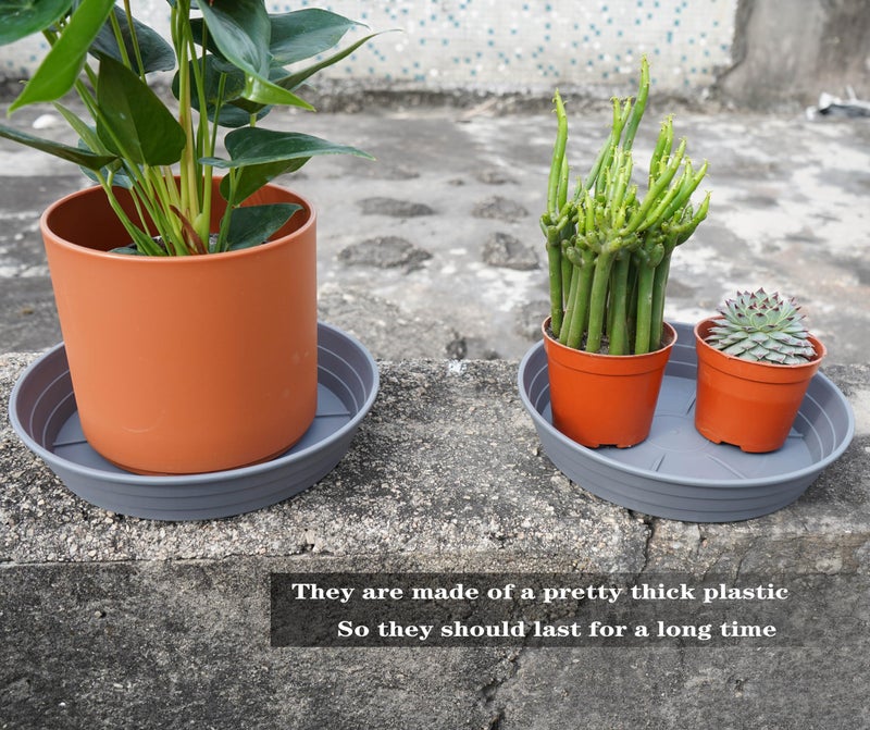 LWALRS Plant Saucer 6 Inch 4 Pack 6 8 10 12 14 16 18 20 25, Plastic Plant Trays for Pots,Extra-Deep Plant Water Dray Tray, Bird Bath Bowl, Heavy Flower Plant saucers Indoors and Outdoor No Holes 6in-4 grey - Image 5